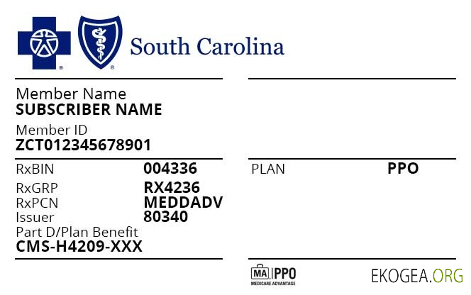 Carte d'assurance maladie de Caroline du Sud aux États Unis